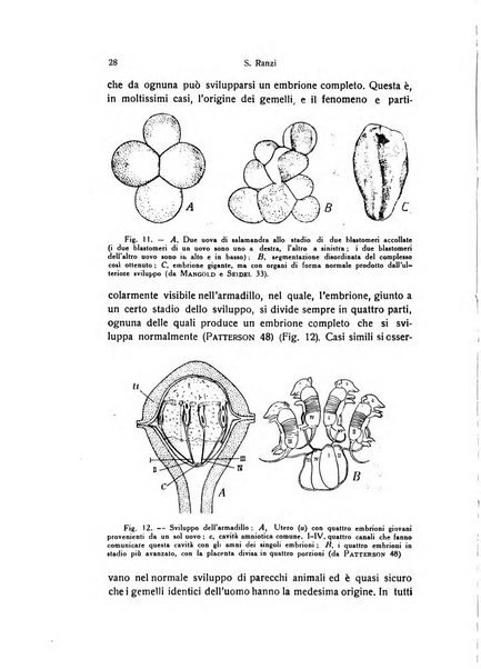 Attualità zoologiche