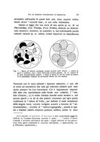 giornale/UFI0046247/1941/unico/00000205