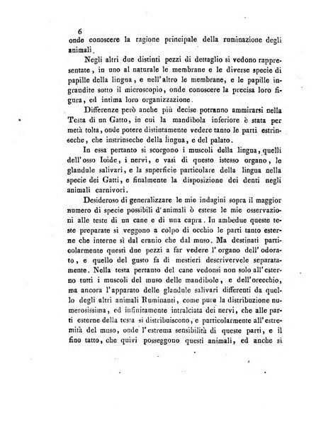 Annali del Museo imperiale di fisica e storia naturale di Firenze per l'anno ...