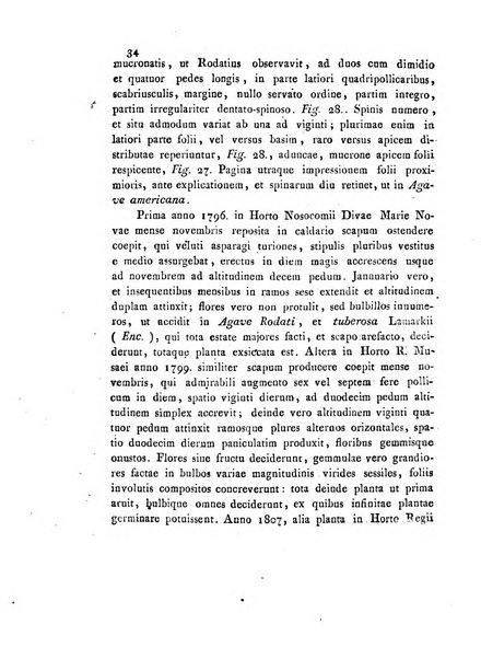 Annali del Museo imperiale di fisica e storia naturale di Firenze per l'anno ...