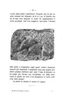 giornale/UFI0047490/1905-1907/unico/00000163