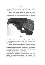 giornale/UFI0047490/1908-1911/unico/00000021