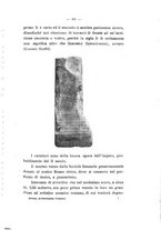 giornale/UFI0047490/1908-1911/unico/00000339