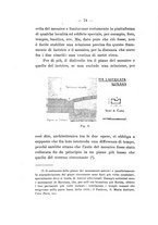 giornale/UFI0047490/1912-1913/unico/00000086