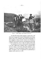 giornale/UFI0047490/1914-1916/unico/00000280