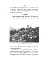 giornale/UFI0047490/1914-1916/unico/00000286