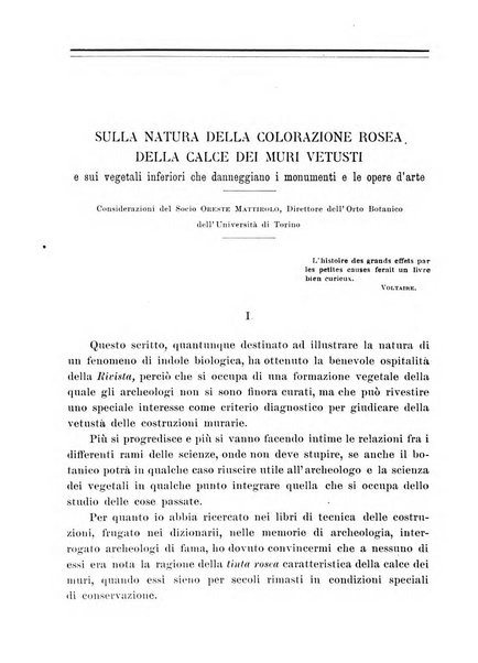 Rivista archeologica della provincia e antica diocesi di Como