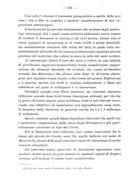 Rivista archeologica della provincia e antica diocesi di Como