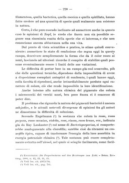 Rivista archeologica della provincia e antica diocesi di Como