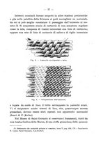 giornale/UFI0047490/1917-1922/unico/00000227