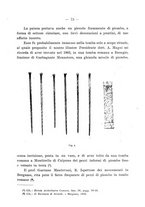 giornale/UFI0047490/1917-1922/unico/00000263