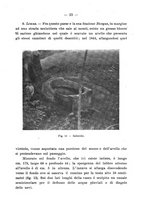 giornale/UFI0047490/1917-1922/unico/00000445