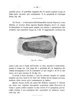 giornale/UFI0047490/1917-1922/unico/00000475