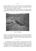 giornale/UFI0047490/1917-1922/unico/00000483