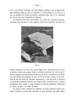 giornale/UFI0047490/1924-1927/unico/00000182