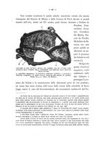 giornale/UFI0047490/1928/unico/00000102