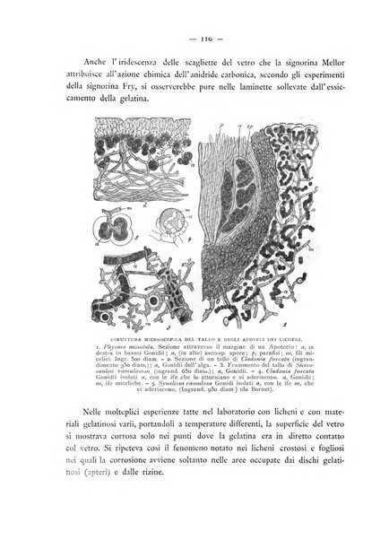 Rivista archeologica della provincia e antica diocesi di Como