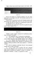 giornale/UFI0053376/1910/unico/00000215