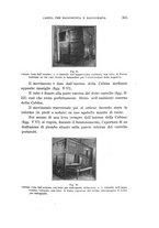 giornale/UFI0053376/1912/unico/00000347