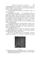giornale/UFI0053376/1912/unico/00000351