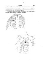 giornale/UFI0053376/1915/unico/00000363