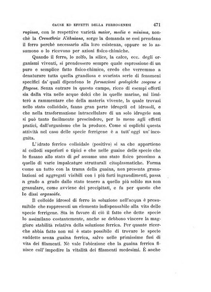 L'idrologia, la climatologia e la terapia fisica periodico mensile dell'Associazione medica italiana d'idrologia, climatologia e terapia fisica