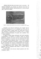 giornale/UFI0053376/1917/unico/00000081
