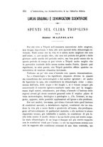 giornale/UFI0053376/1917/unico/00000232