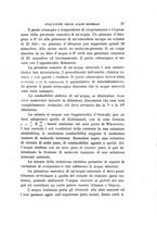 giornale/UFI0053376/1919/unico/00000047