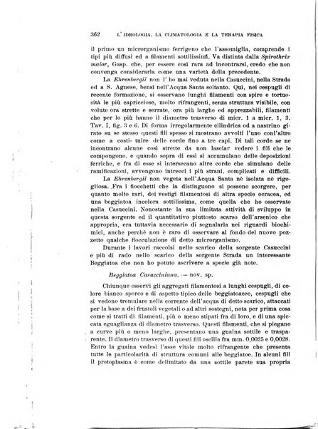 L'idrologia, la climatologia e la terapia fisica periodico mensile dell'Associazione medica italiana d'idrologia, climatologia e terapia fisica