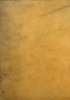 giornale/UFI0060254/1735/unico/00000001