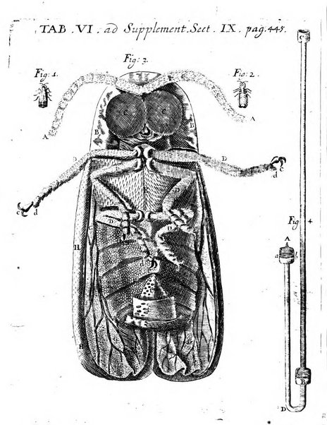 Actorum eruditorum quae Lipsiae publicantur supplementa