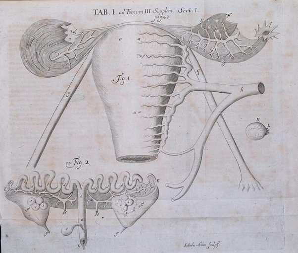 Actorum eruditorum quae Lipsiae publicantur supplementa