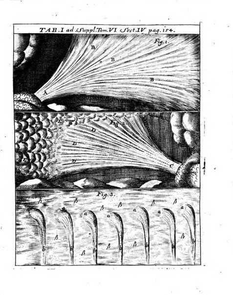 Actorum eruditorum quae Lipsiae publicantur supplementa