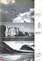 giornale/UFI0069593/1939/unico/00000298