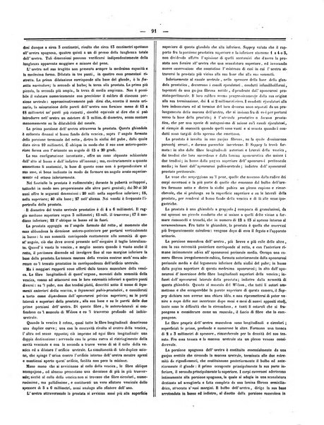 Gazzetta medica italiana Lombardia