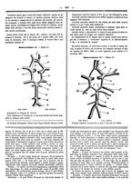 giornale/UFI0121580/1867/unico/00000503