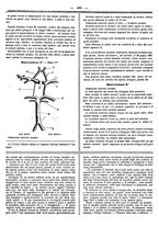 giornale/UFI0121580/1867/unico/00000505