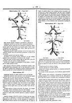 giornale/UFI0121580/1867/unico/00000508