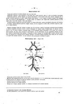 giornale/UFI0121580/1867/unico/00000515