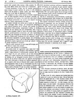 giornale/UFI0121580/1881/unico/00000040