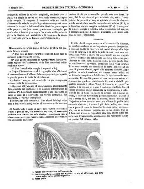 Gazzetta medica italiana Lombardia