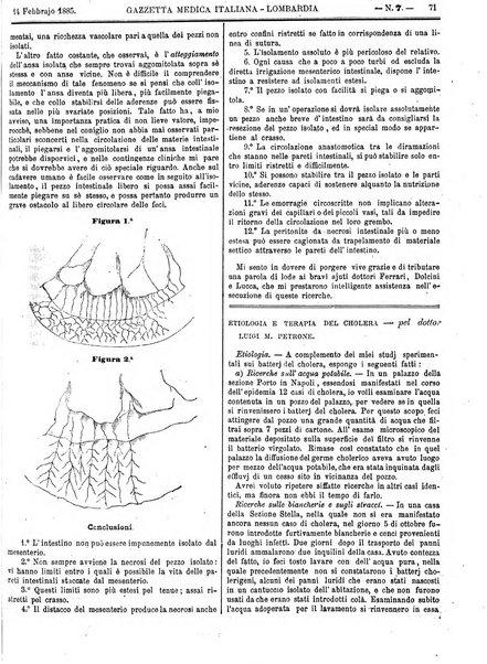 Gazzetta medica italiana Lombardia