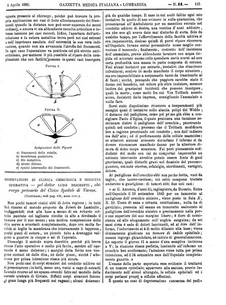 Gazzetta medica italiana Lombardia