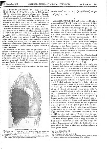 Gazzetta medica italiana Lombardia