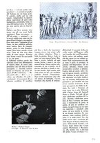giornale/UFI0136728/1936/unico/00000033