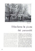 giornale/UFI0136728/1936/unico/00000236