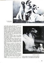 giornale/UFI0136728/1936/unico/00000679