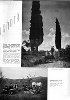 giornale/UFI0136728/1939/unico/00000359