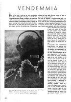 giornale/UFI0136728/1939/unico/00000364